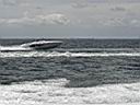 Ship Island 2006 085.jpg